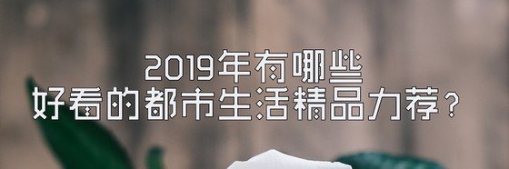 2019年有哪些好看的都市生活精品力荐？